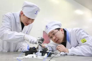 提升貧困人口醫(yī)療保障水平 技術(shù)開發(fā)賦能醫(yī)療救助新篇章